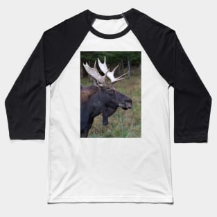 Canadian Moose Baseball T-Shirt